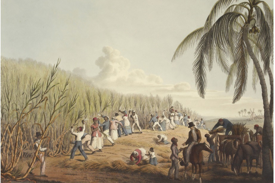 Esclaves coupant la canne à sucre sur l'île d'Antigua, 1823 gravure British Libray - Unsplash Ethique et Entreprise