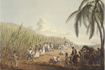 Slaves-cutting-sugar-cane-on-Antigua-island Business Ethics